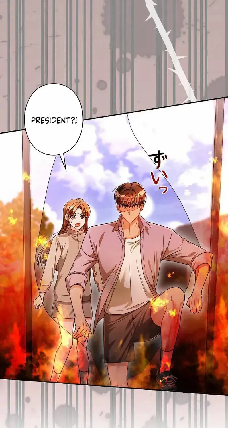 The Perfect Man's Secret Chapter 30 page 12 - 