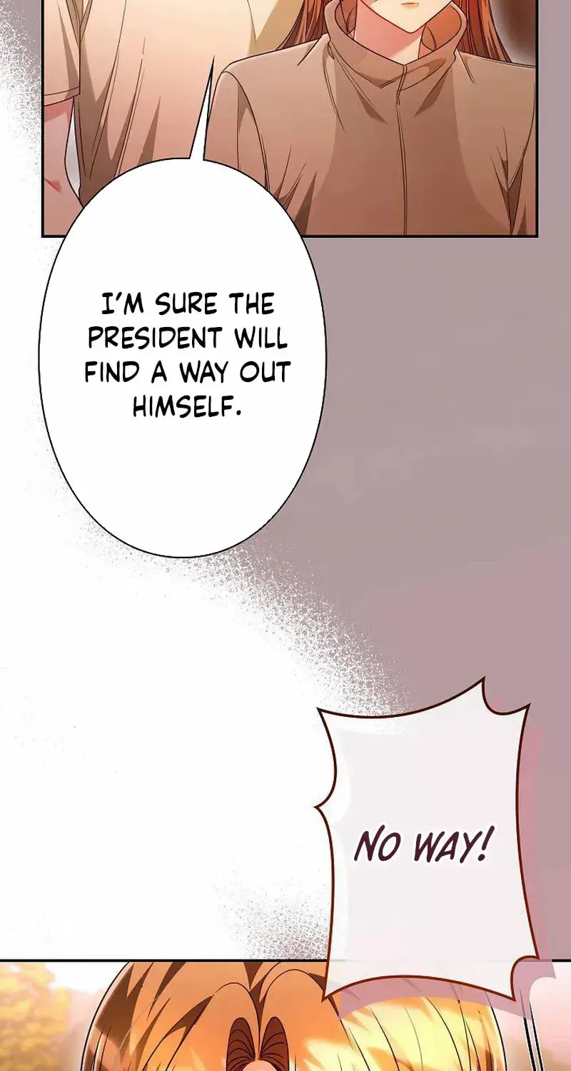 The Perfect Man's Secret Chapter 30 page 19 - 