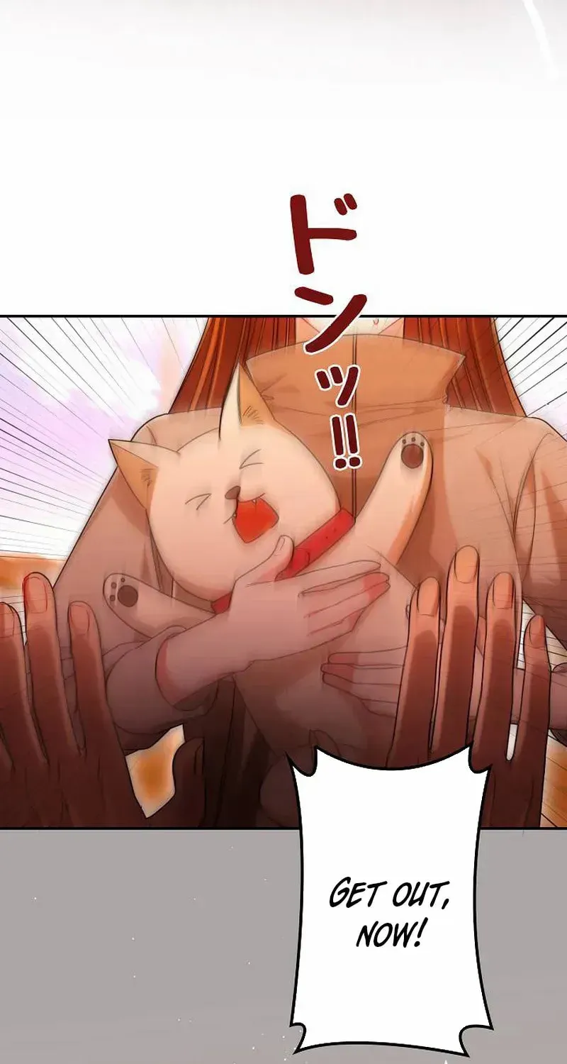 The Perfect Man's Secret Chapter 30 page 33 - 