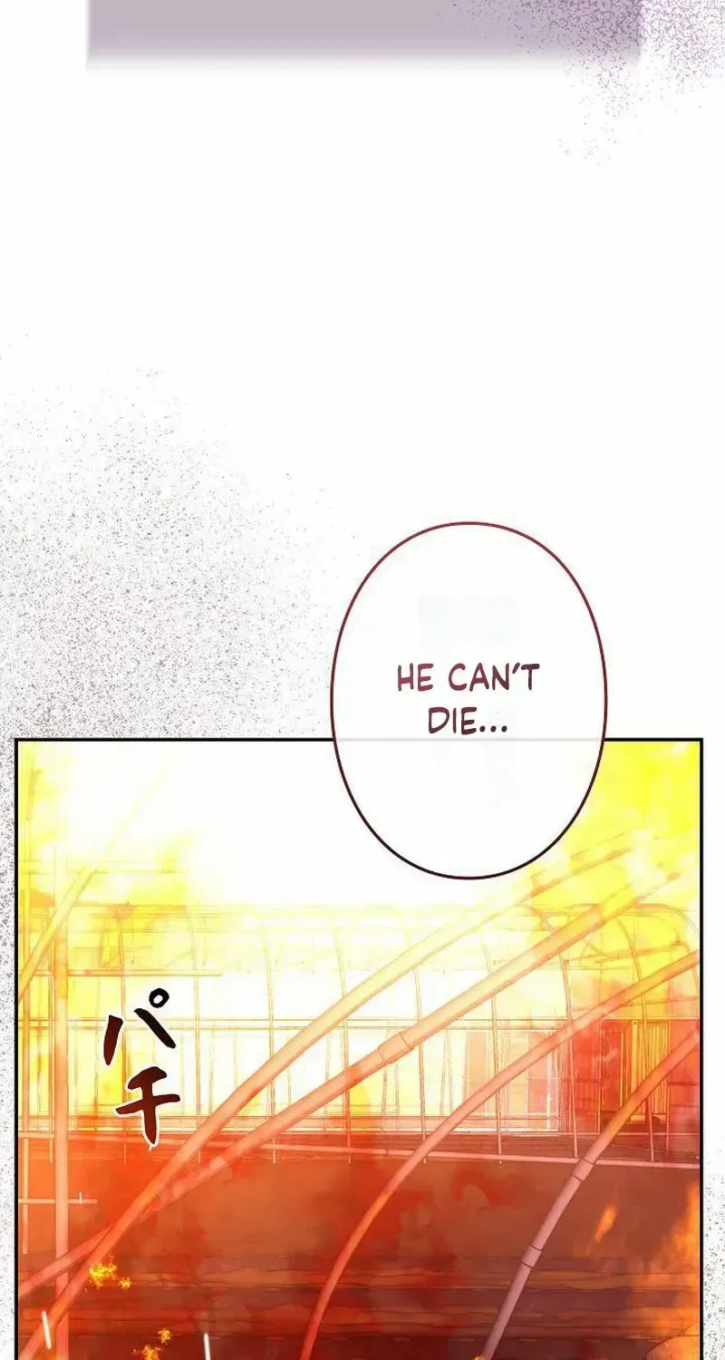 The Perfect Man's Secret Chapter 30 page 44 - 