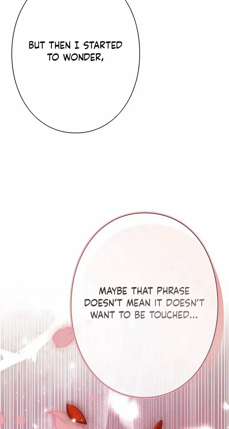 The Perfect Man's Secret Chapter 31 page 64 - 