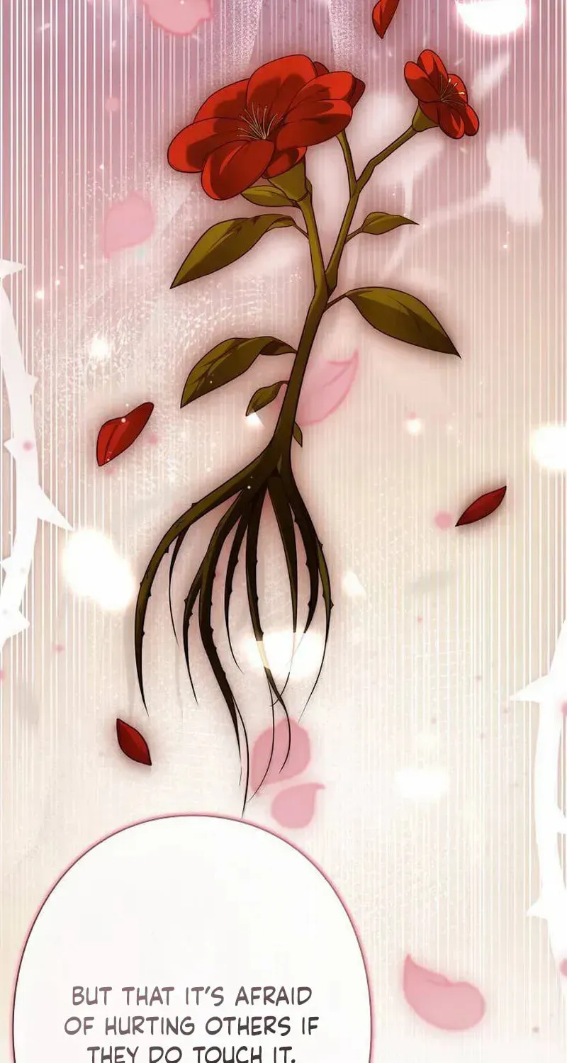 The Perfect Man's Secret Chapter 31 page 65 - 