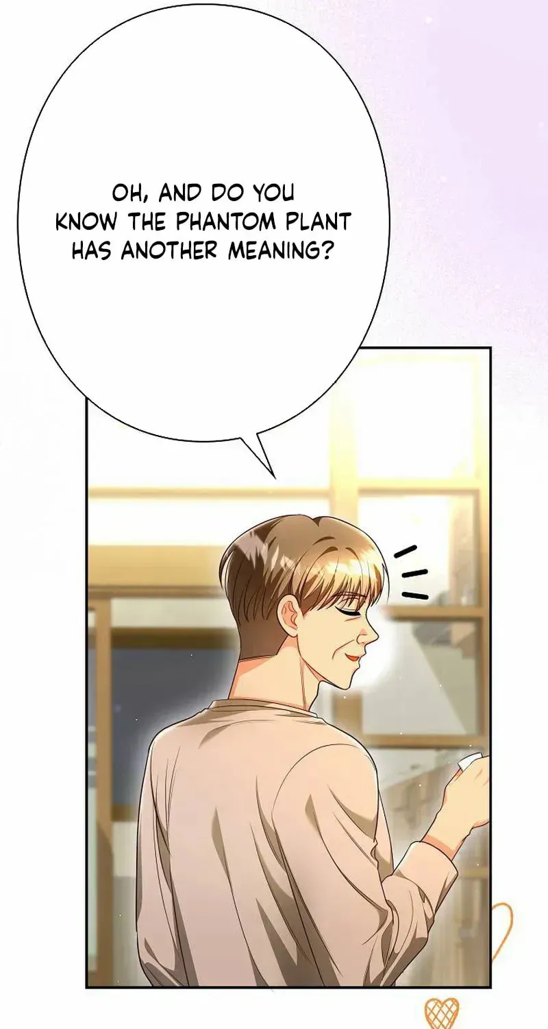 The Perfect Man's Secret Chapter 31 page 73 - 