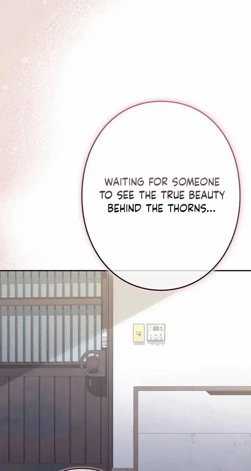 The Perfect Man's Secret Chapter 31 page 89 - 