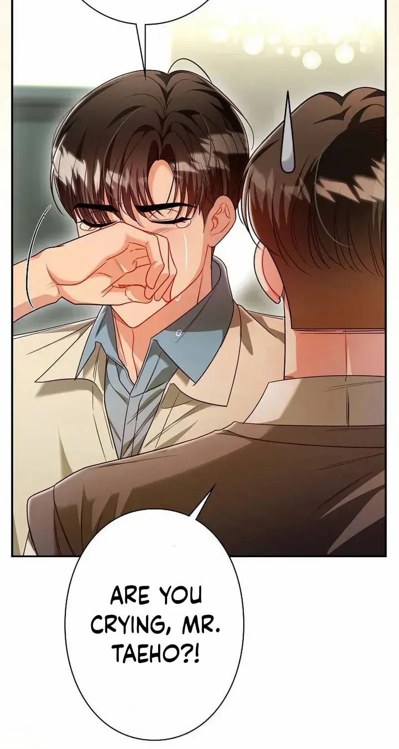 The Perfect Man's Secret Chapter 33 page 38 - 