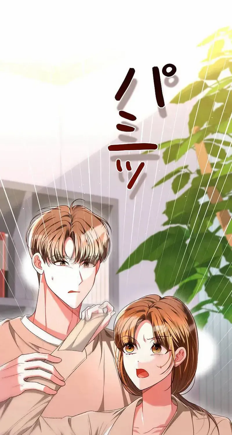 The Perfect Man's Secret Chapter 37 page 27 - 