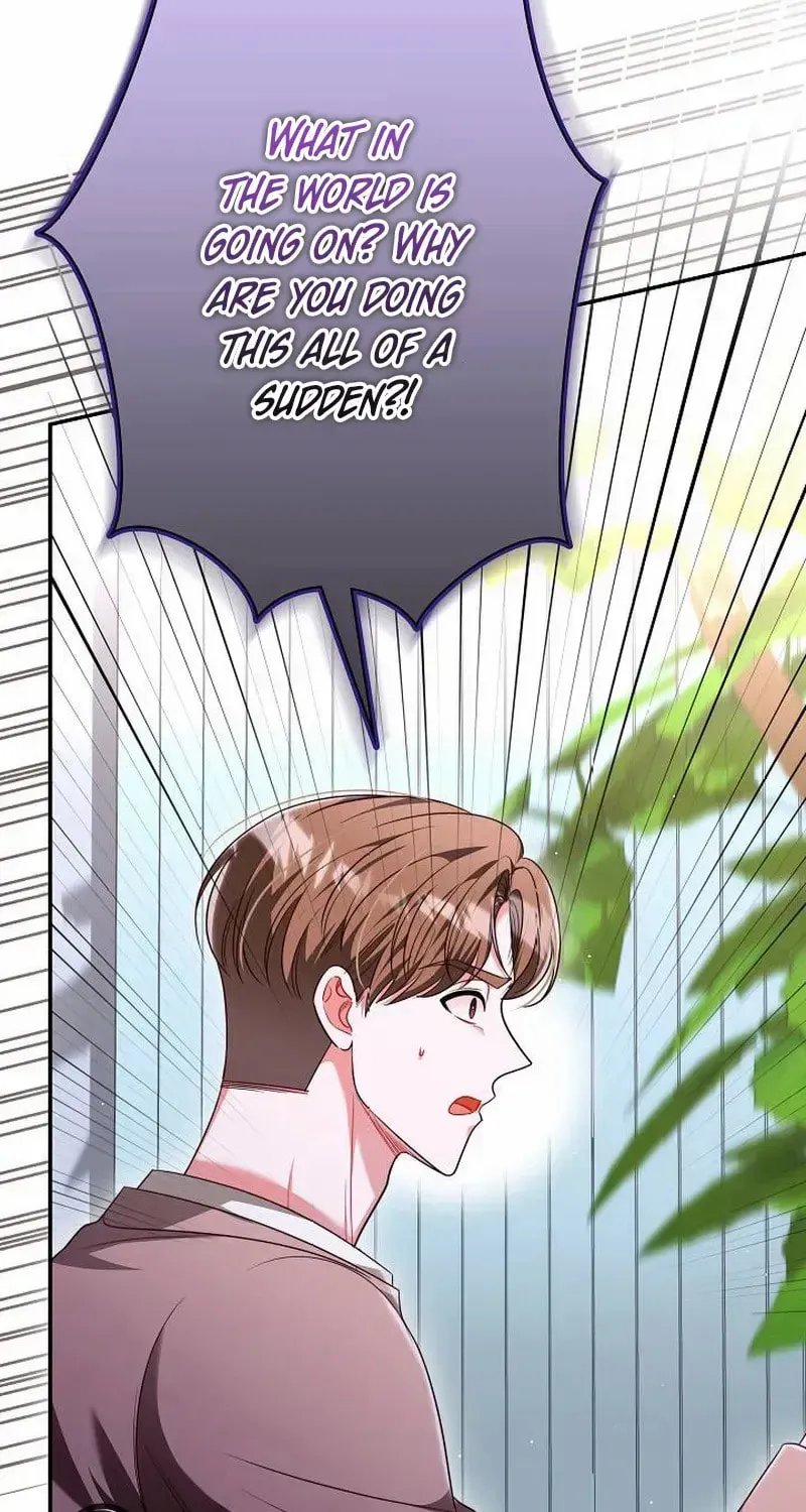 The Perfect Man's Secret Chapter 37 page 34 - 