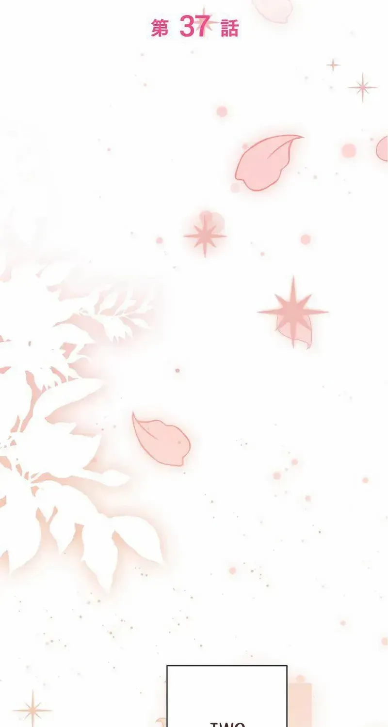 The Perfect Man's Secret Chapter 37 page 45 - 