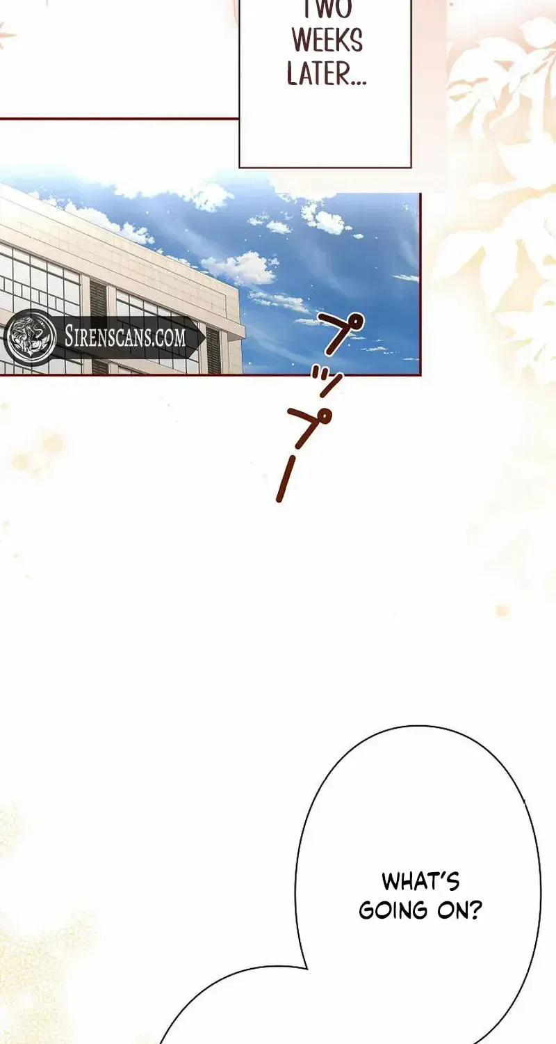 The Perfect Man's Secret Chapter 37 page 46 - 