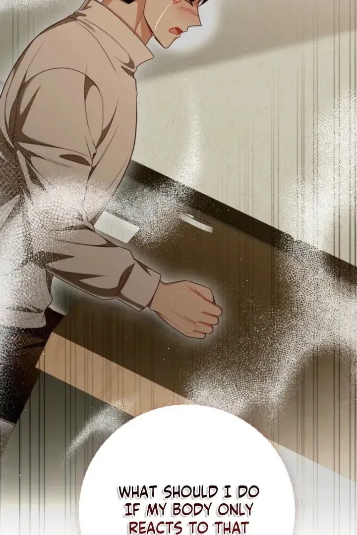 The Perfect Man's Secret Chapter 41 page 92 - 