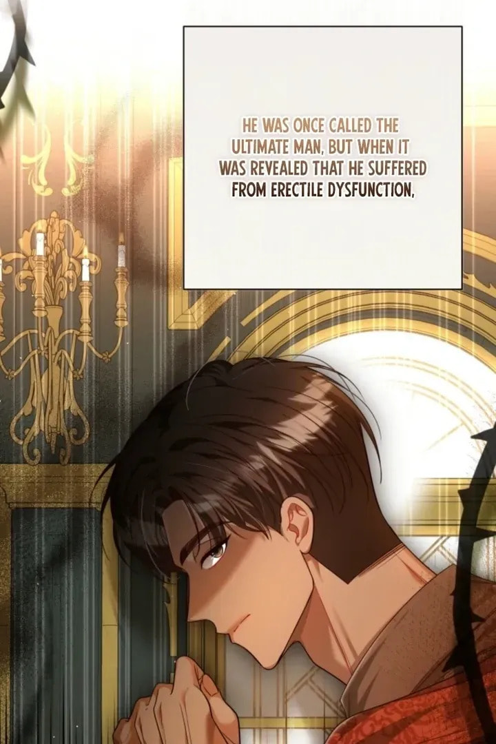 The Perfect Man's Secret Chapter 44 page 14 - 