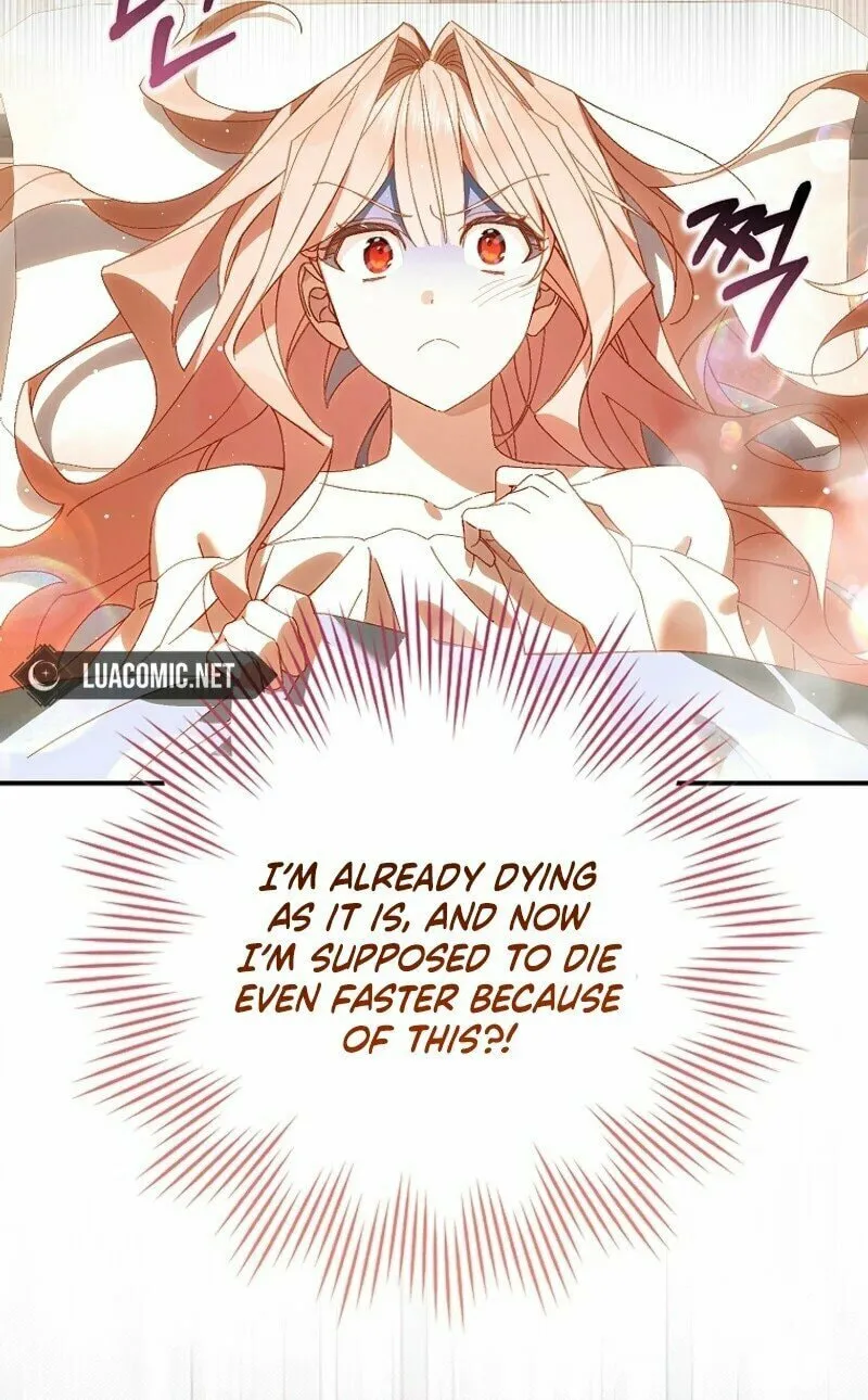 Read The Perfect Plan to Avoid the Death Ending chapter 1 image 28 on Lezhin