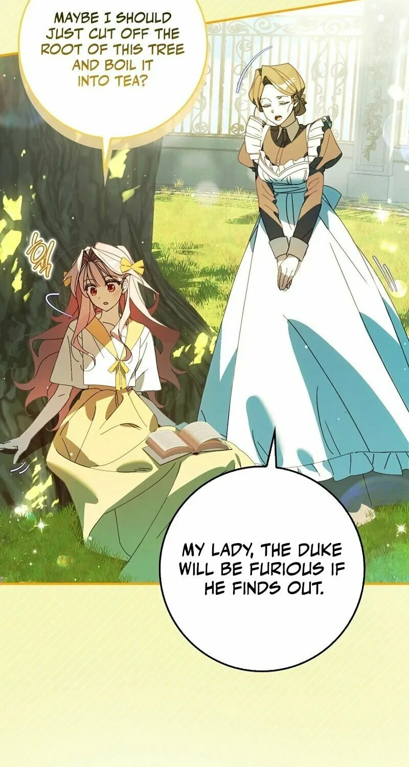 Read The Perfect Plan to Avoid the Death Ending chapter 1 image 42 on Lezhin