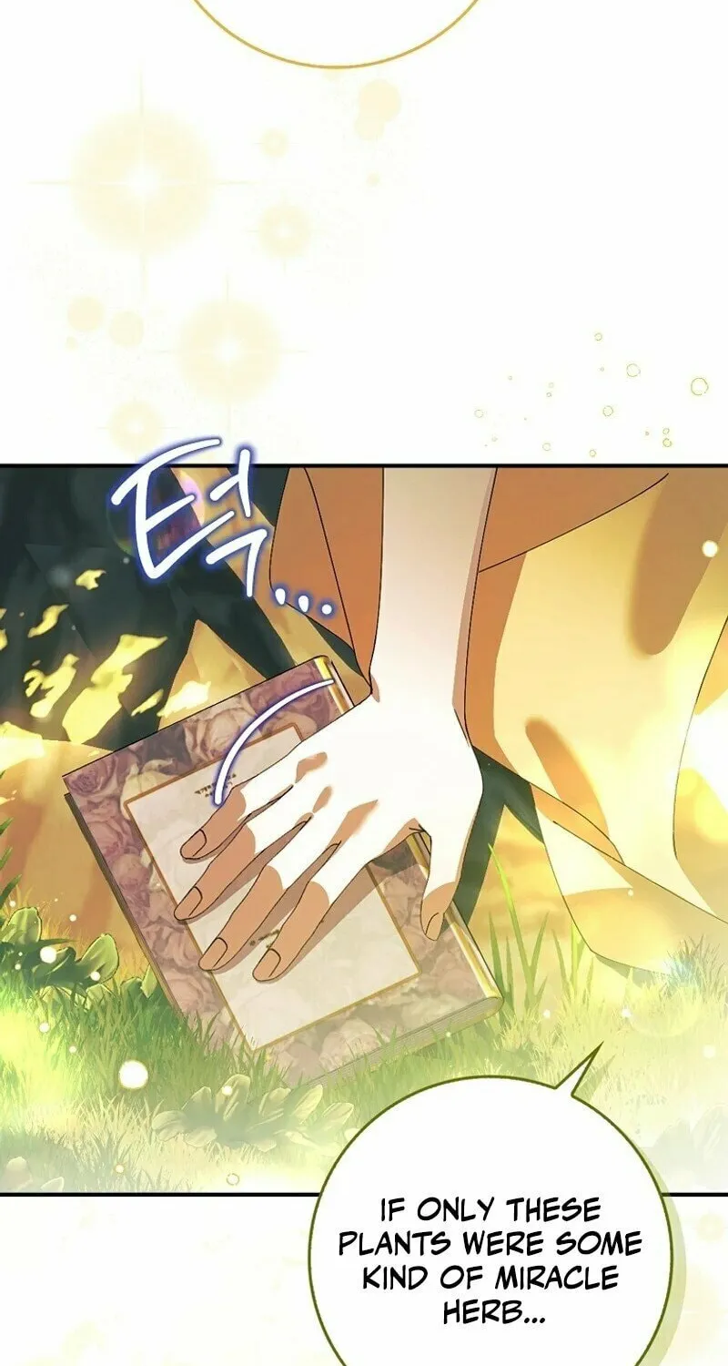 Read The Perfect Plan to Avoid the Death Ending chapter 1 image 48 on Lezhin