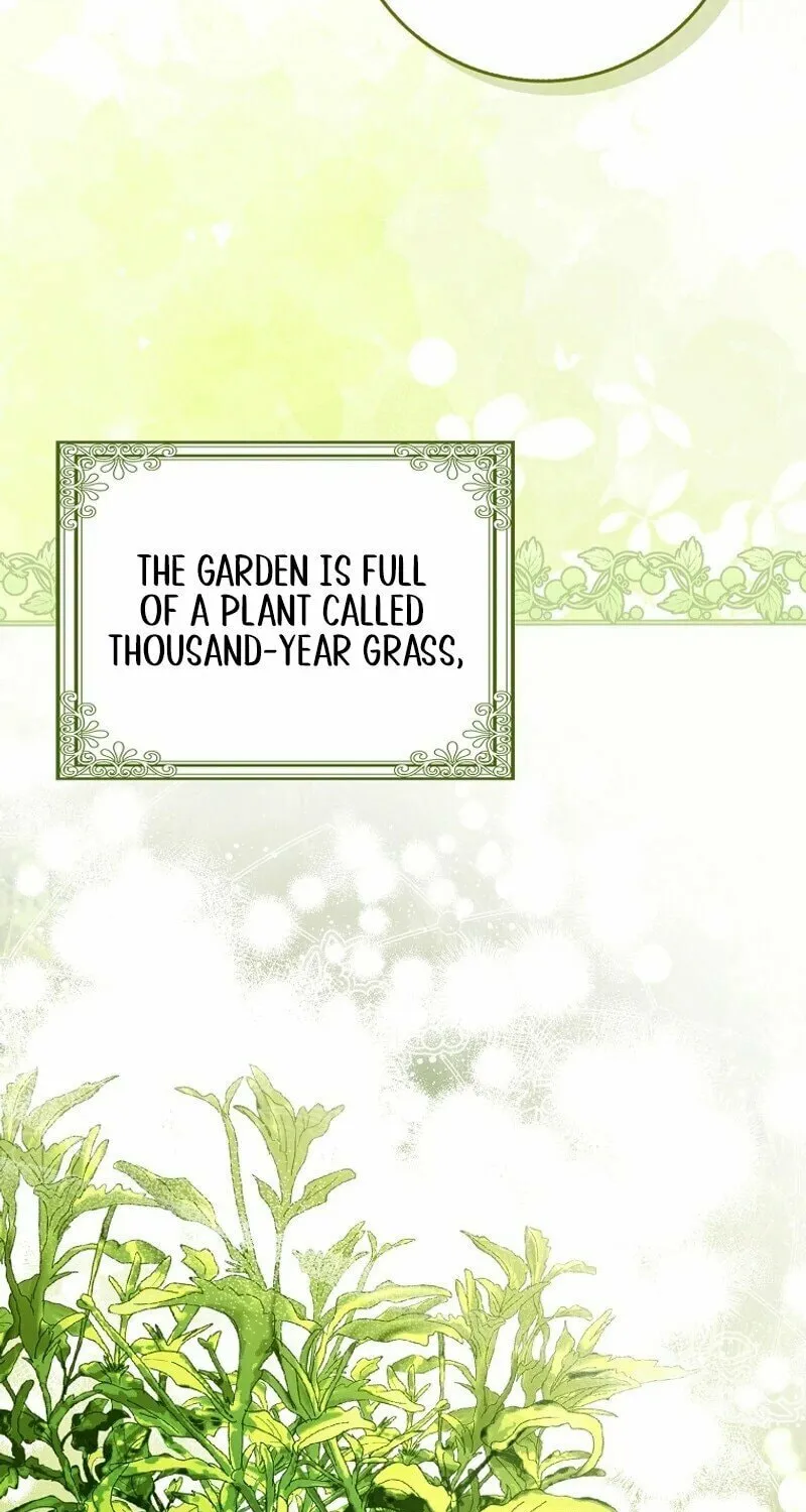 Read The Perfect Plan to Avoid the Death Ending chapter 1 image 49 on Lezhin