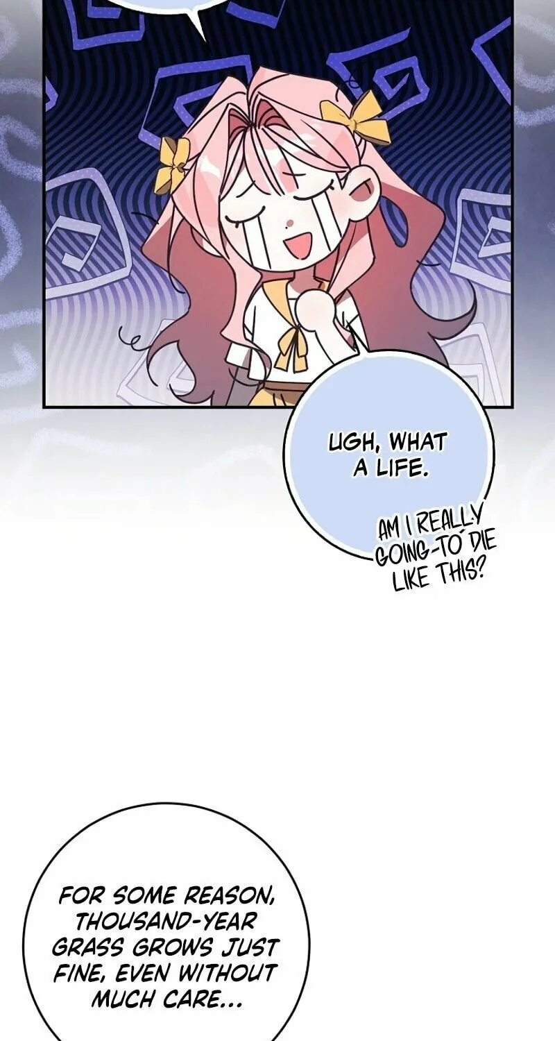Read The Perfect Plan to Avoid the Death Ending chapter 1 image 51 on Lezhin