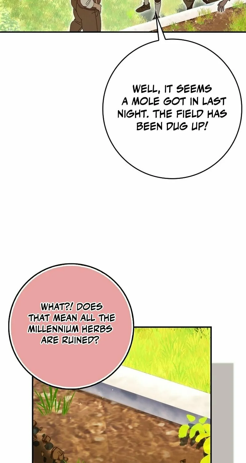Read The Perfect Plan to Avoid the Death Ending chapter 5 image 10 on Lezhin