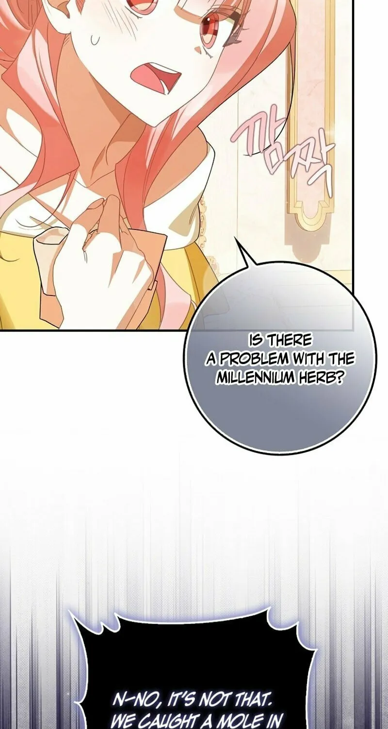 Read The Perfect Plan to Avoid the Death Ending chapter 6 image 19 on Lezhin