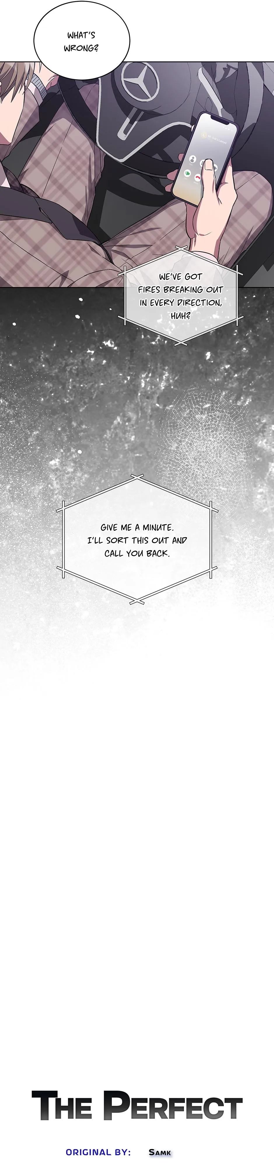 The Perfect Chapter 78 page 14 - 