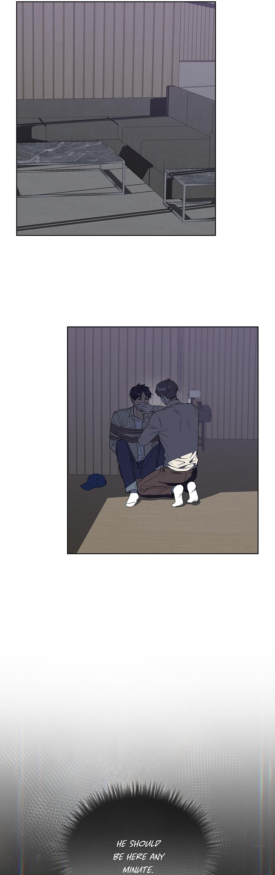 The Perfect Chapter 87 page 19 - 