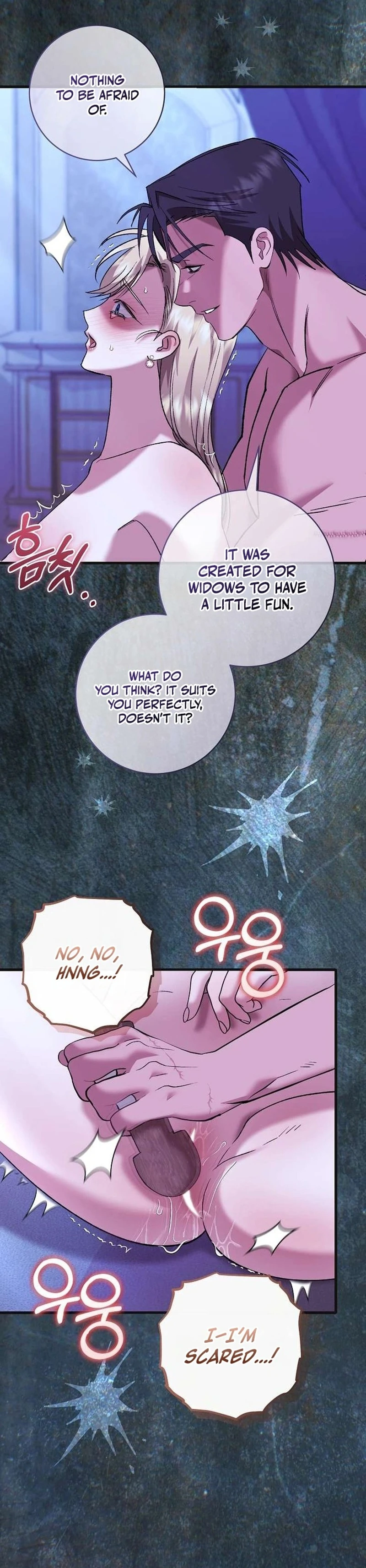 Read The Pirate