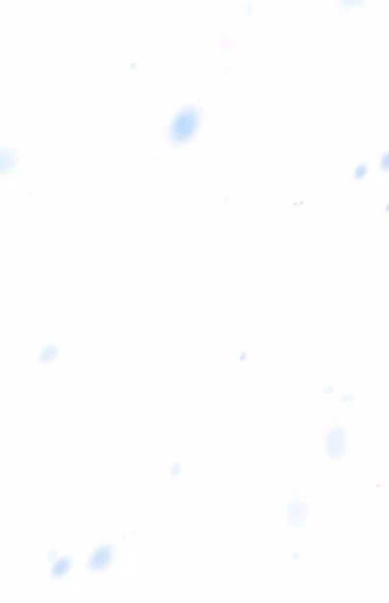 The Pizza Delivery Man and the Gold Palace Chapter 107 page 96 - 