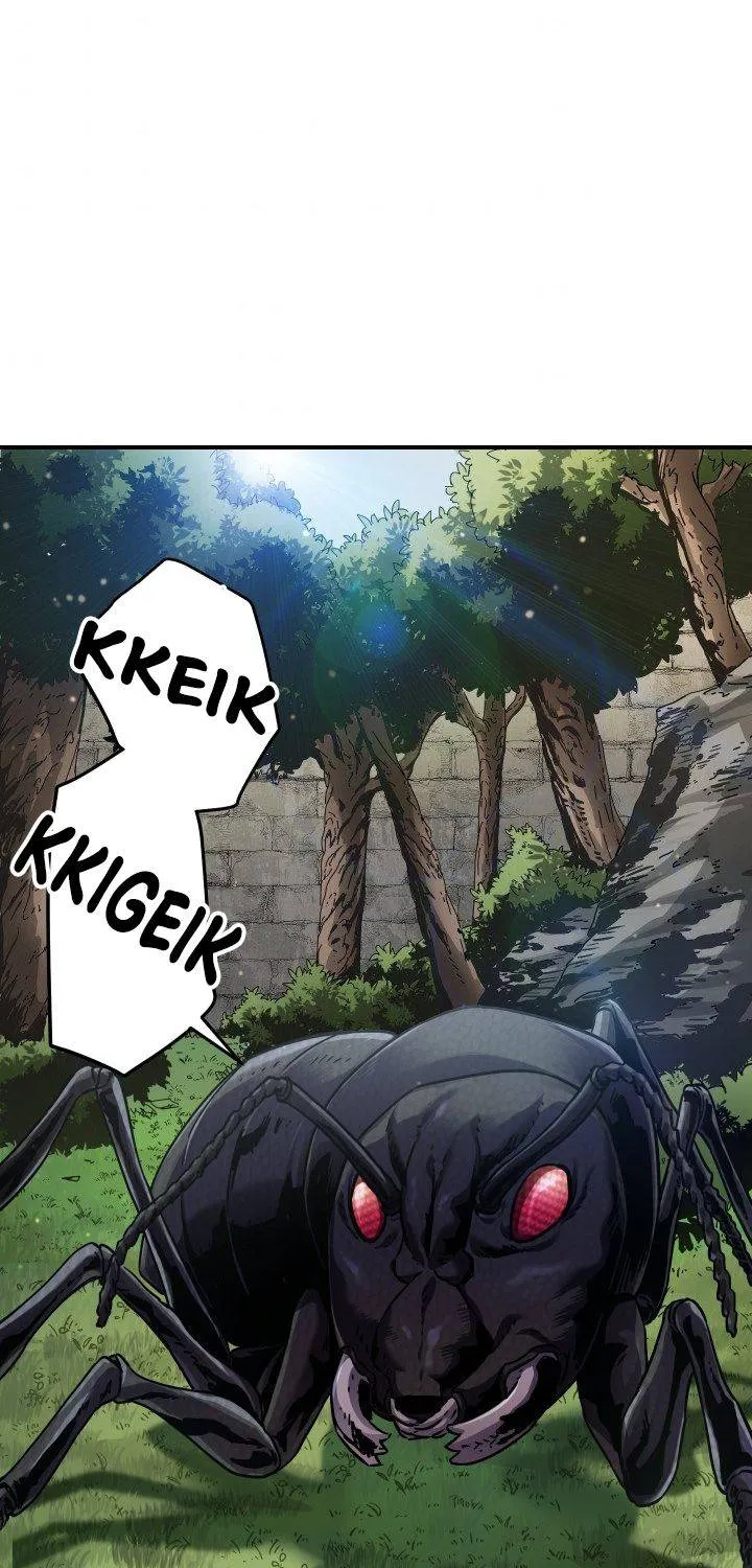Read The Player That Can