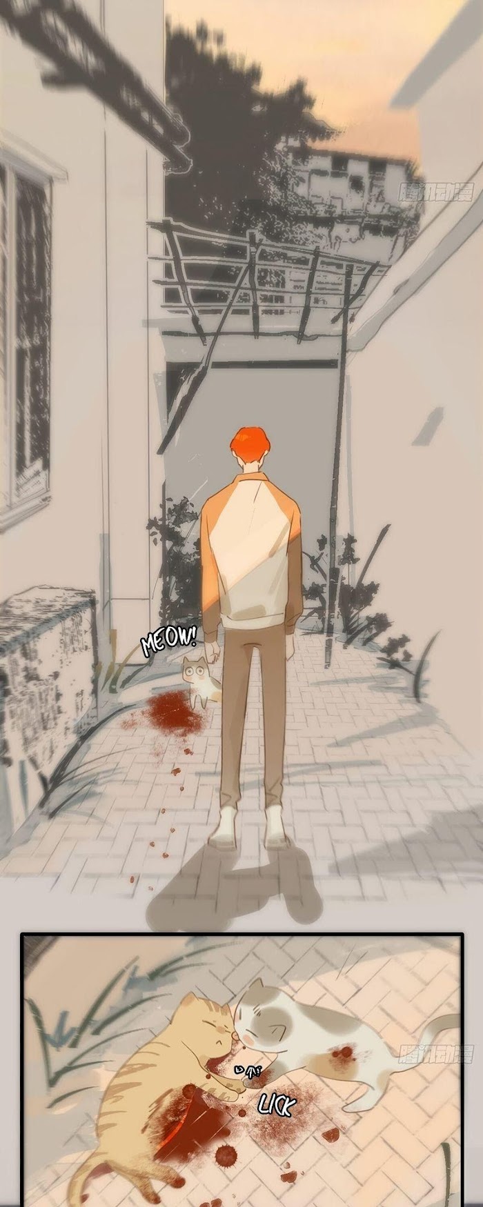 Read The Polaris chapter 17 image 4 on Lezhin