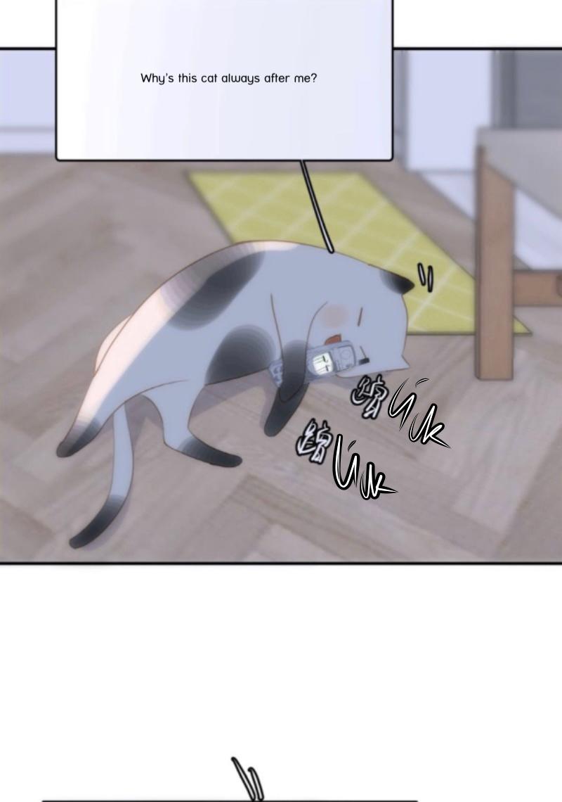Read The Polaris chapter 34 image 44 on Lezhin