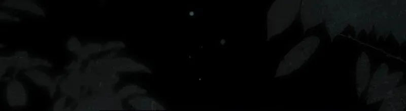 Read The Presepe Outside the Cage chapter 35 image 19 on Lezhin