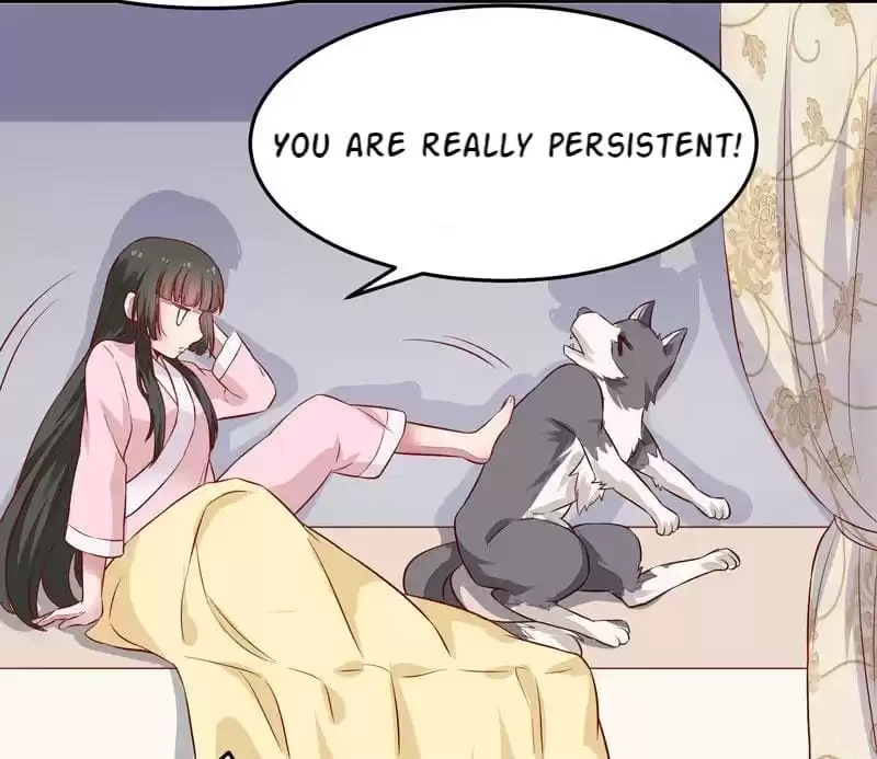 Read The Princess Is a Man chapter 10 image 0 on Lezhin