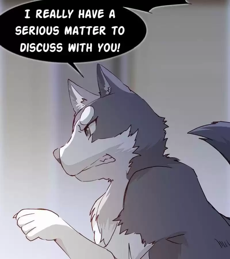 Read The Princess Is a Man chapter 8 image 13 on Lezhin