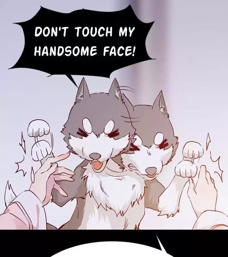 Read The Princess Is a Man chapter 8 image 20 on Lezhin
