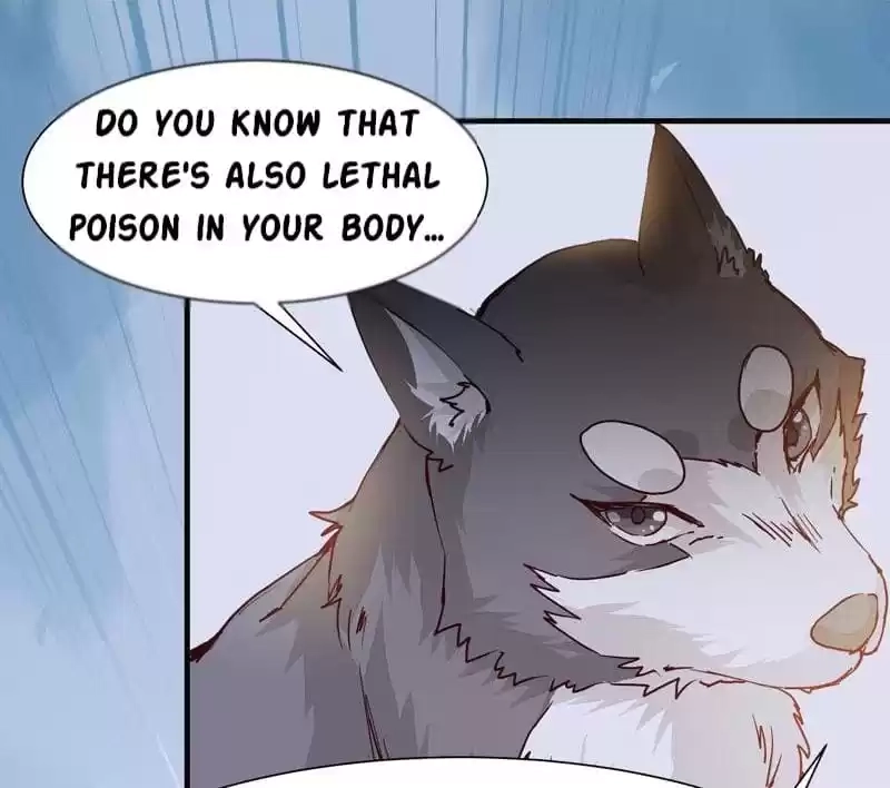 Read The Princess Is a Man chapter 8 image 22 on Lezhin