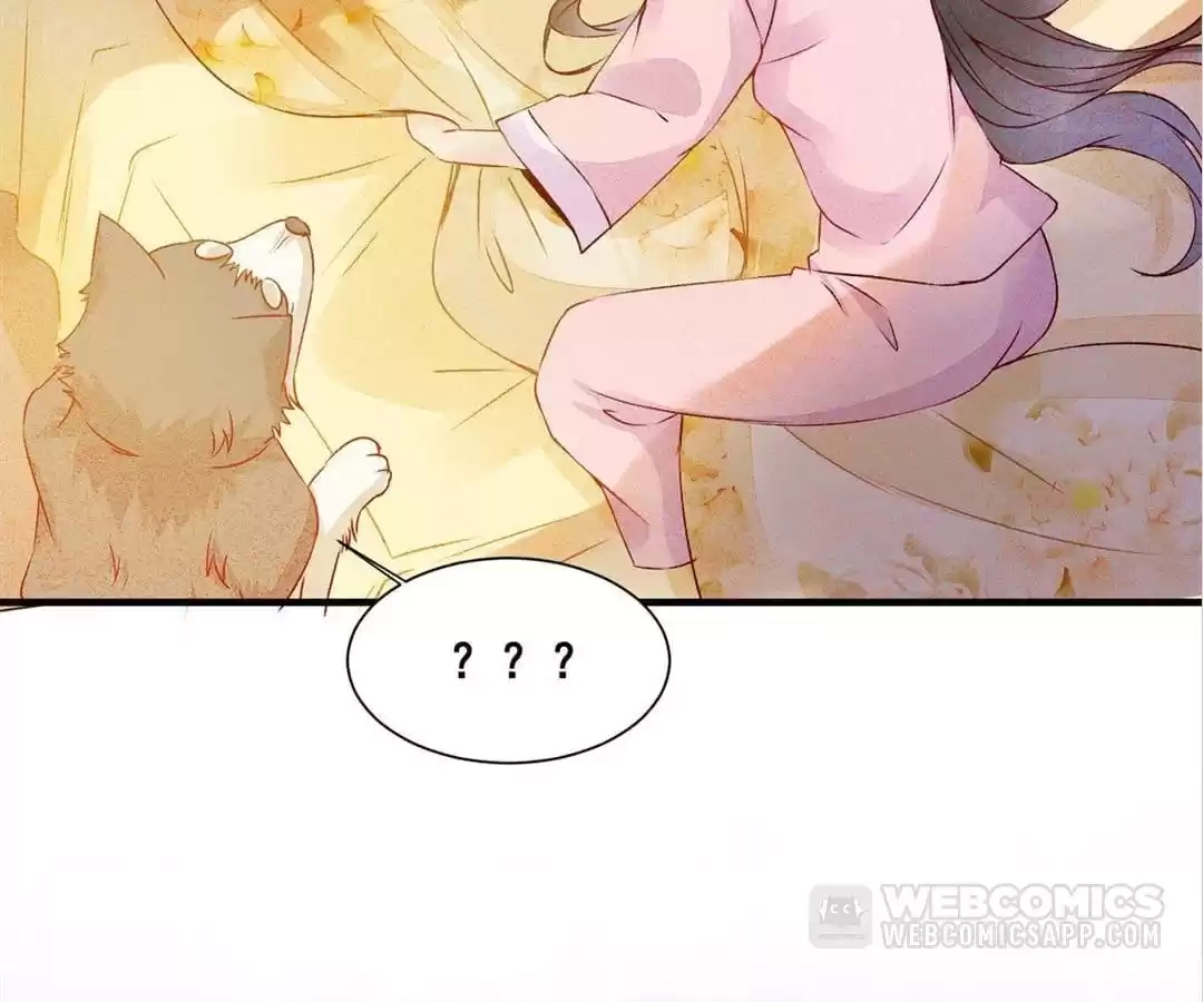 Read The Princess Is a Man chapter 80 image 1 on Lezhin