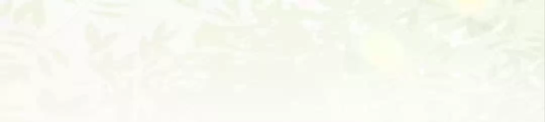 Read The Princess Is a Man chapter 80 image 21 on Lezhin