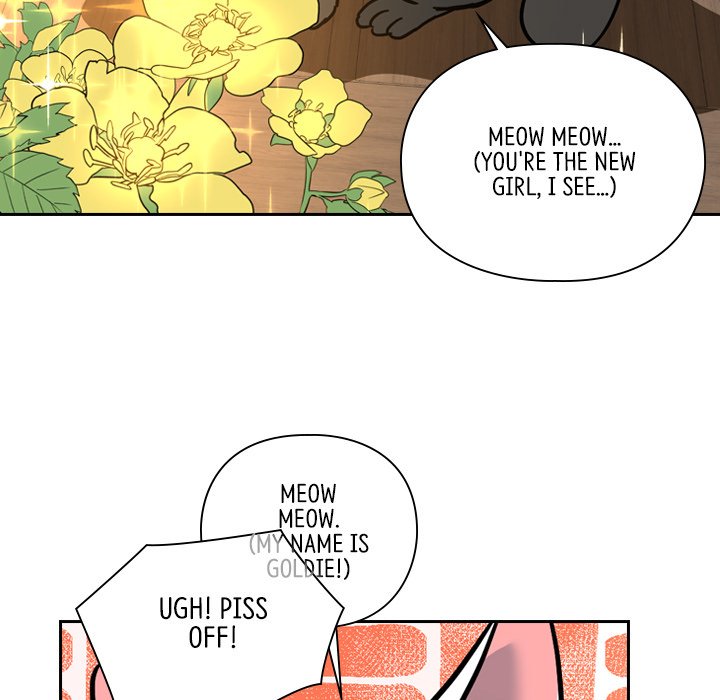 Read The Princess