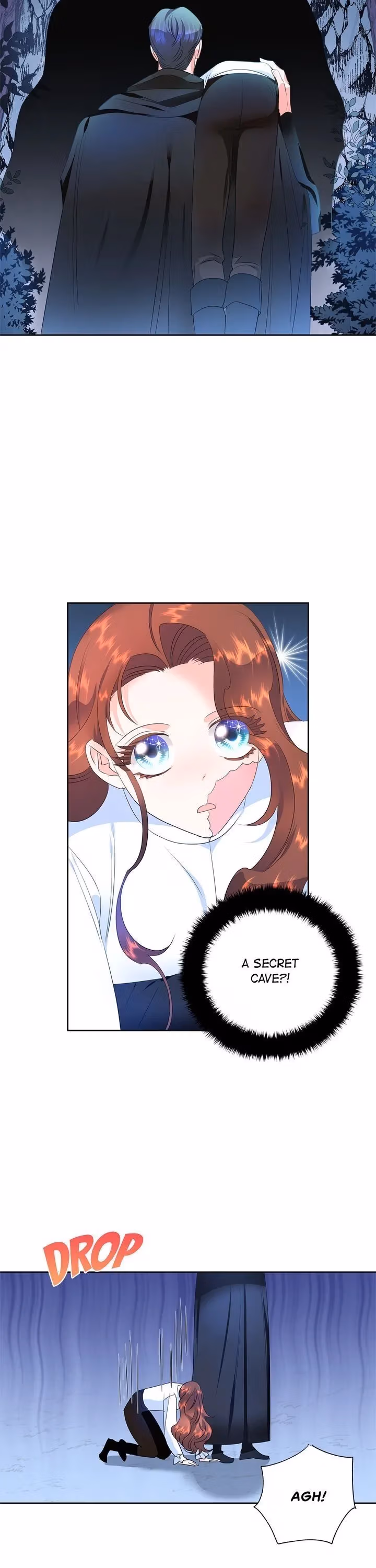 Read The Princess