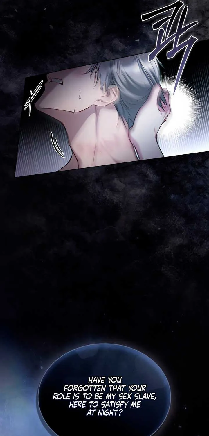 The Princess’s Bedchamber Toy Chapter 12 page 24 - 