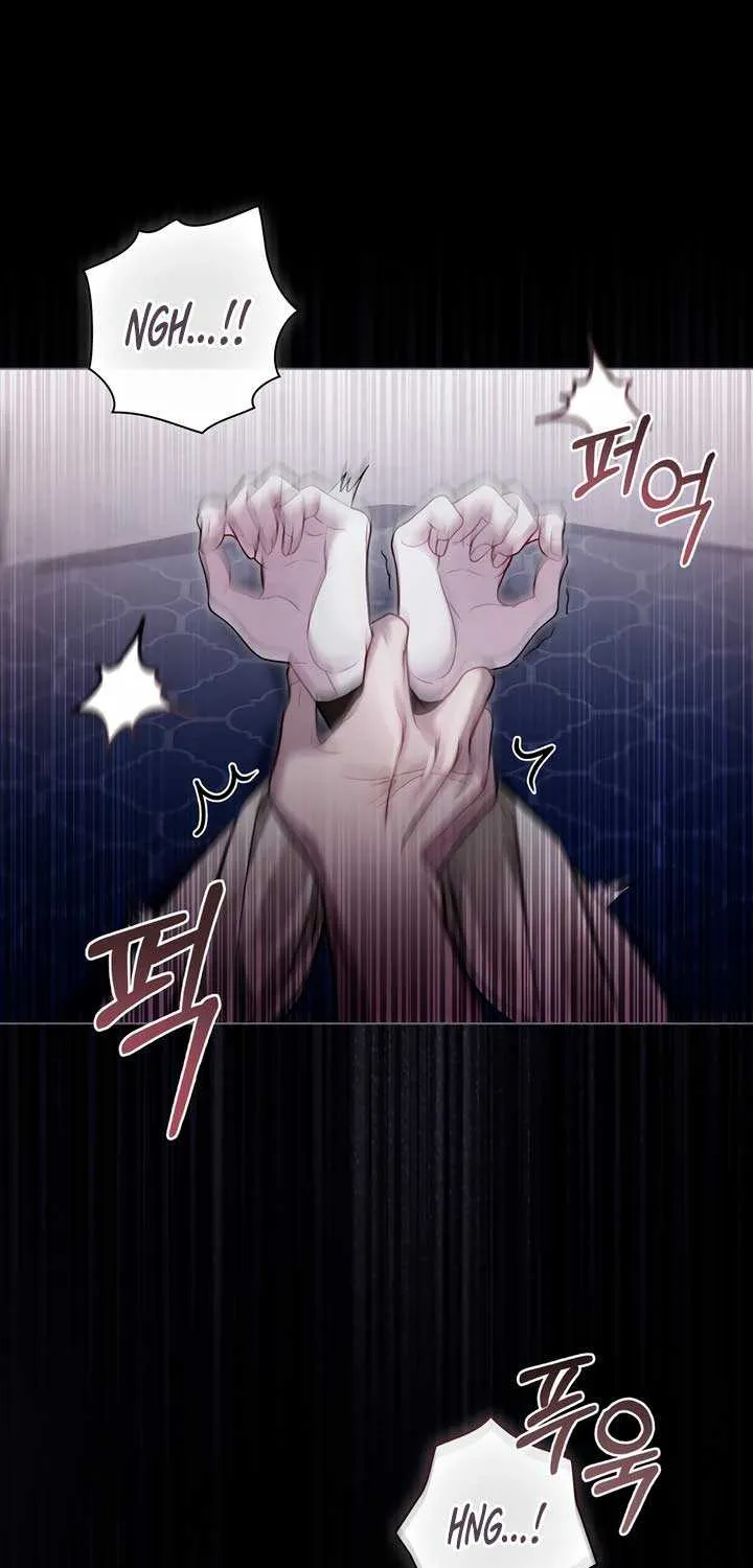 The Princess’s Bedchamber Toy Chapter 12 page 44 - 