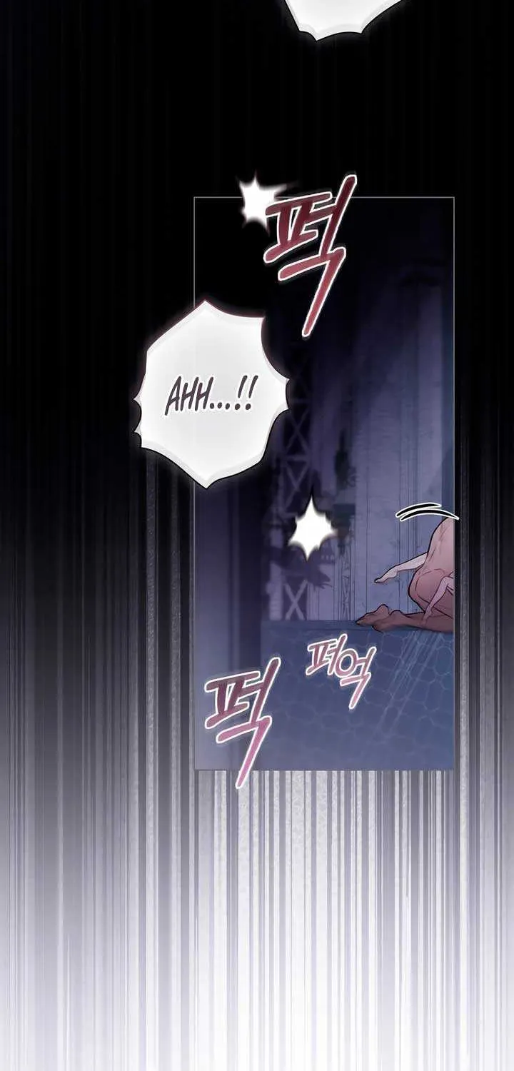 The Princess’s Bedchamber Toy Chapter 12 page 45 - 