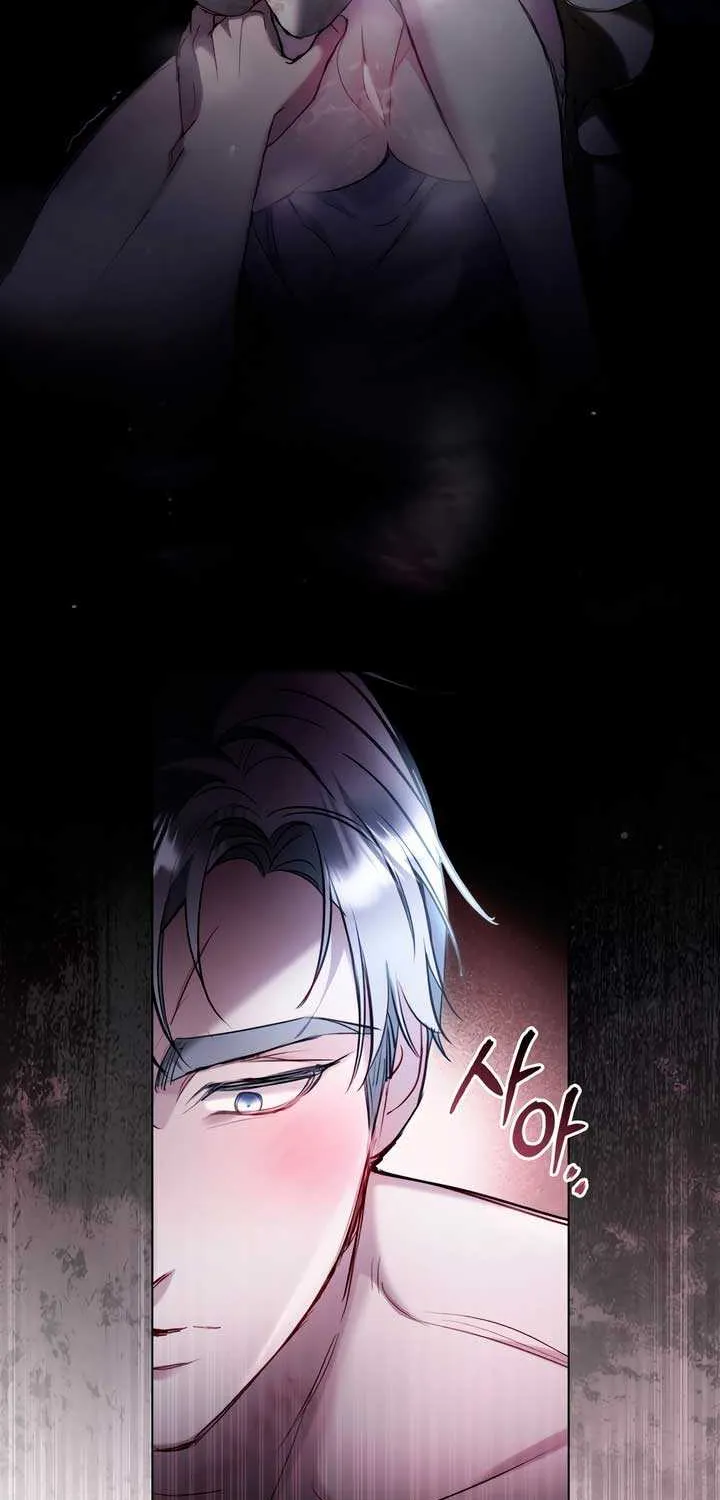 The Princess’s Bedchamber Toy Chapter 12 page 48 - 