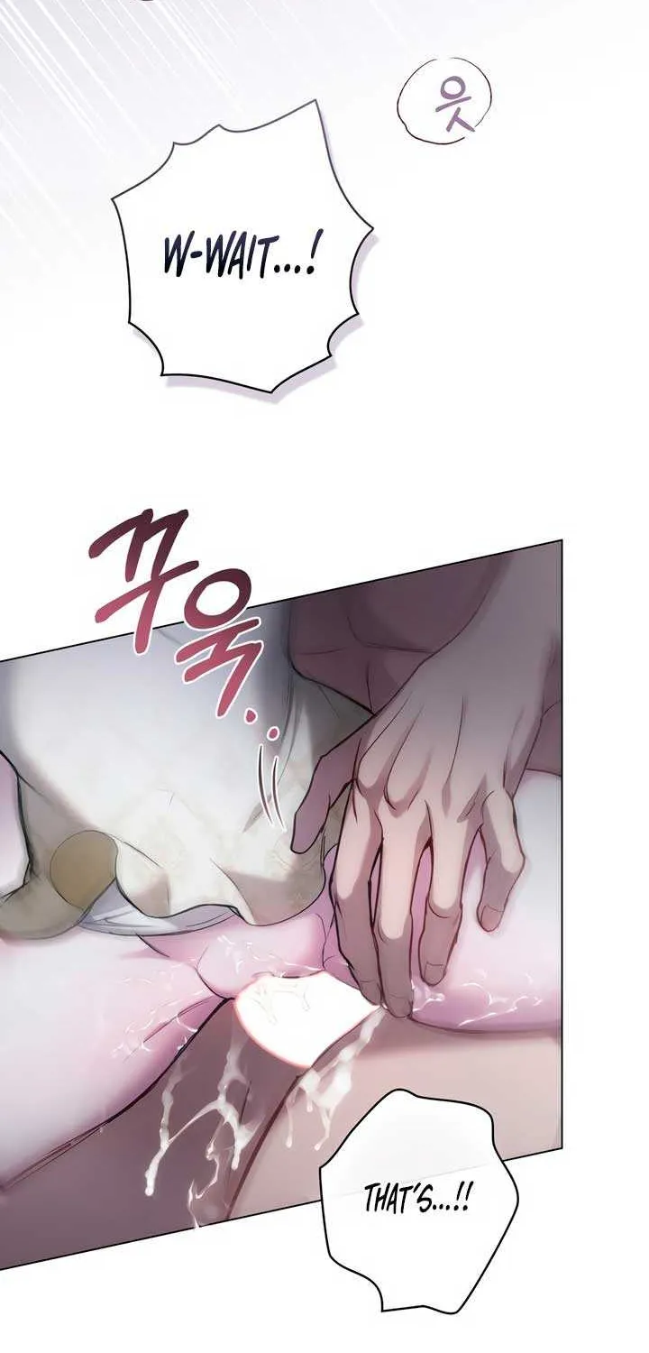 The Princess’s Bedchamber Toy Chapter 13 page 20 - 