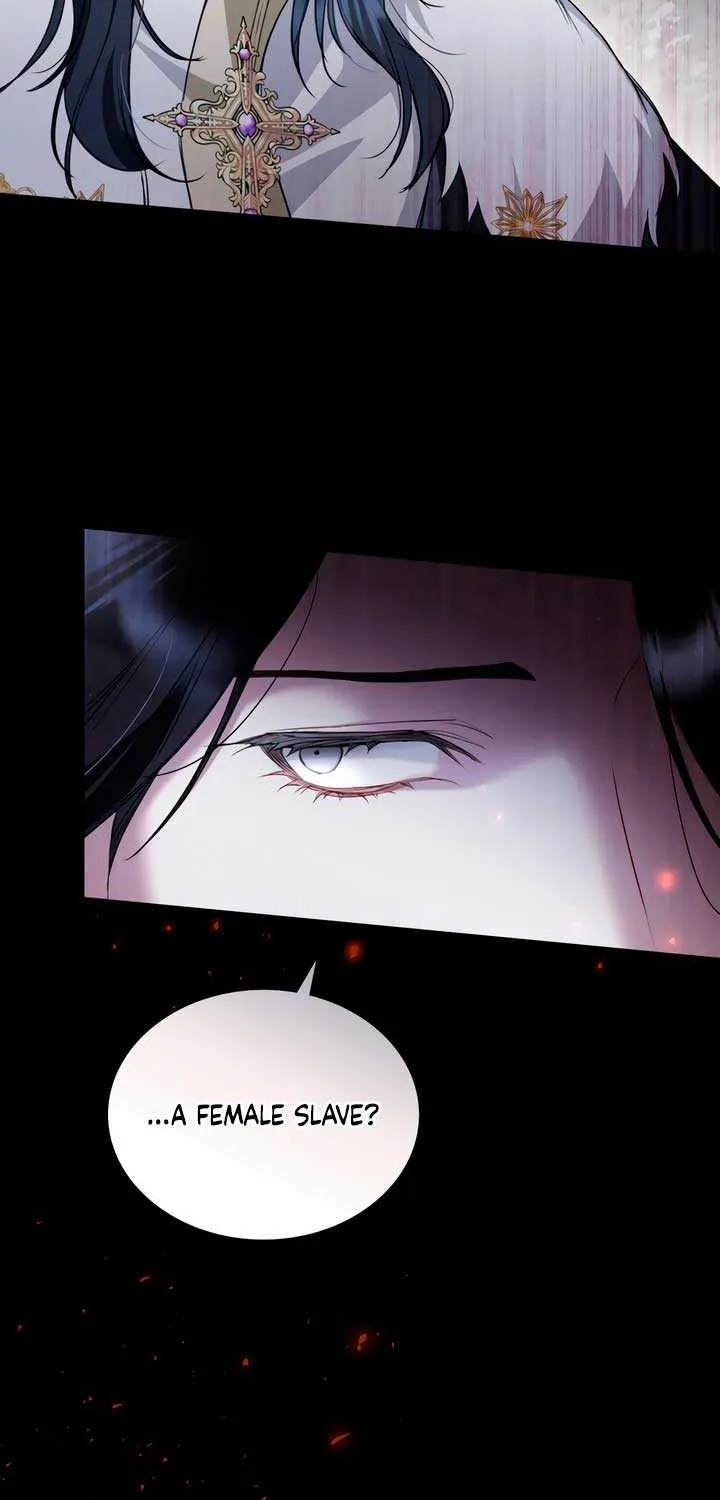 The Princess’s Bedchamber Toy Chapter 13 page 68 - 