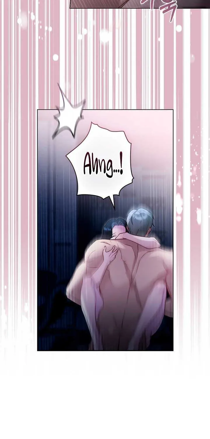 The Princess’s Bedchamber Toy Chapter 15 page 41 - 