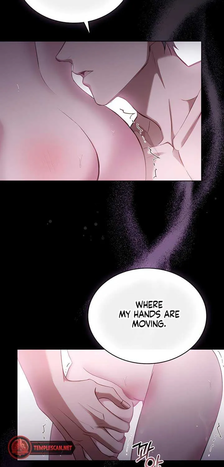 The Princess’s Bedchamber Toy Chapter 18 page 12 - 