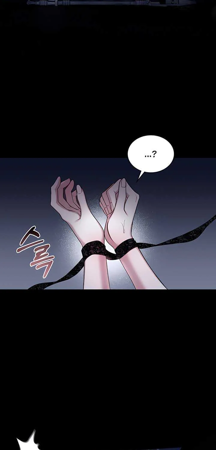 The Princess’s Bedchamber Toy Chapter 18 page 25 - 