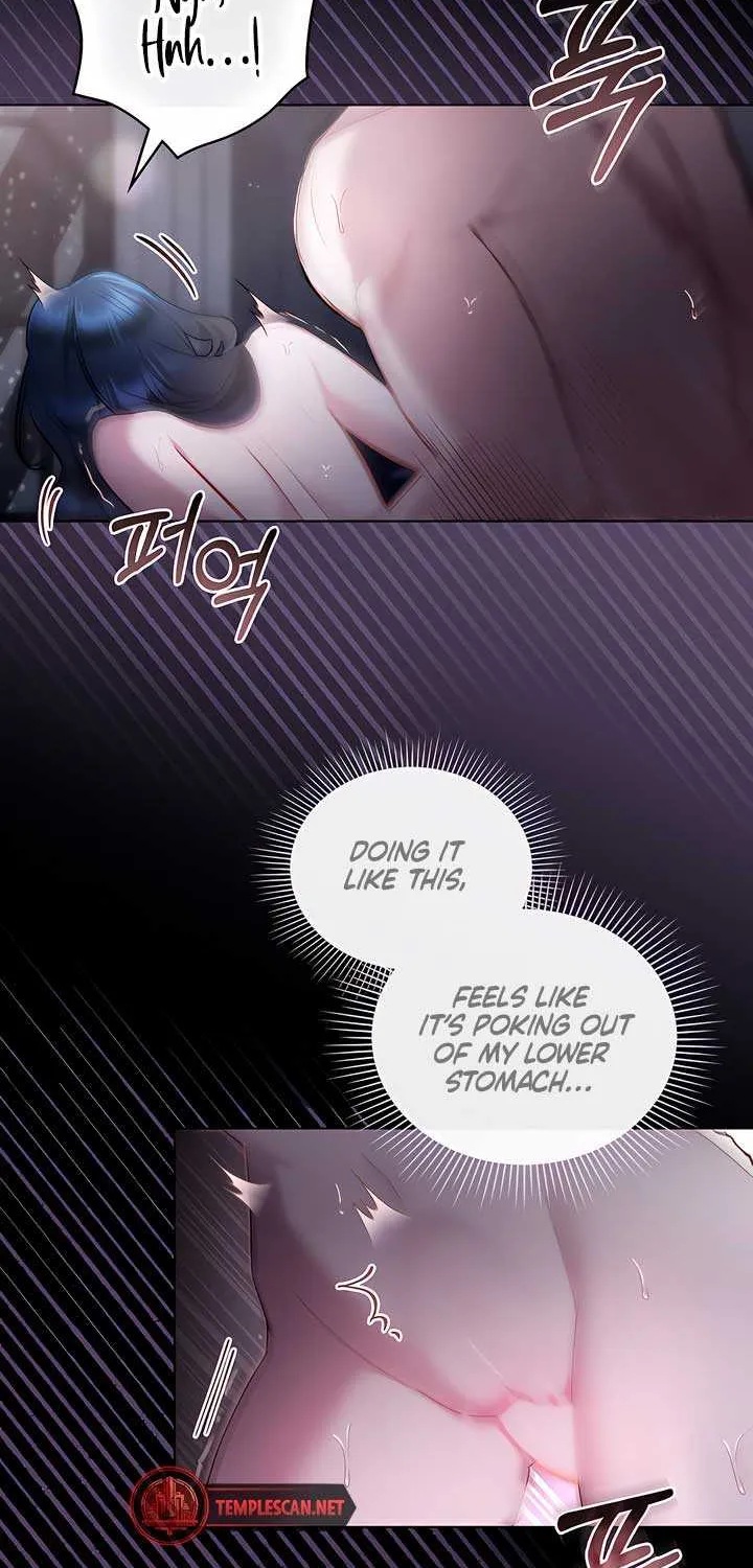 The Princess’s Bedchamber Toy Chapter 18 page 28 - 