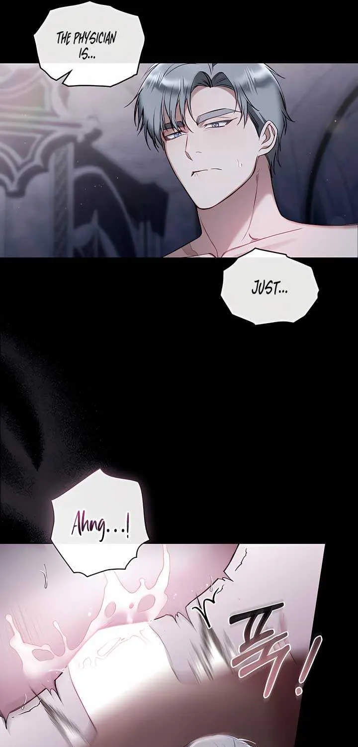 The Princess’s Bedchamber Toy Chapter 18 page 43 - 