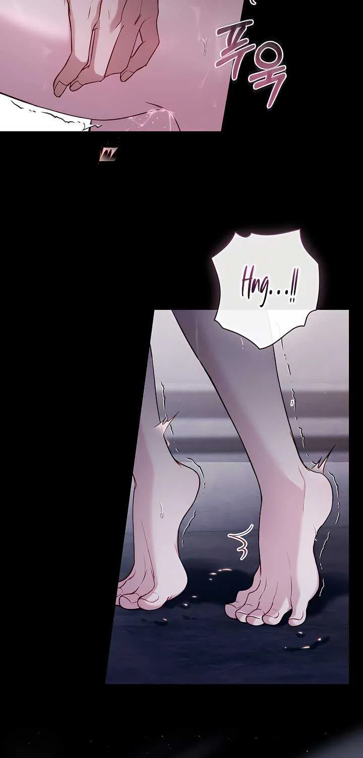 The Princess’s Bedchamber Toy Chapter 18 page 45 - 